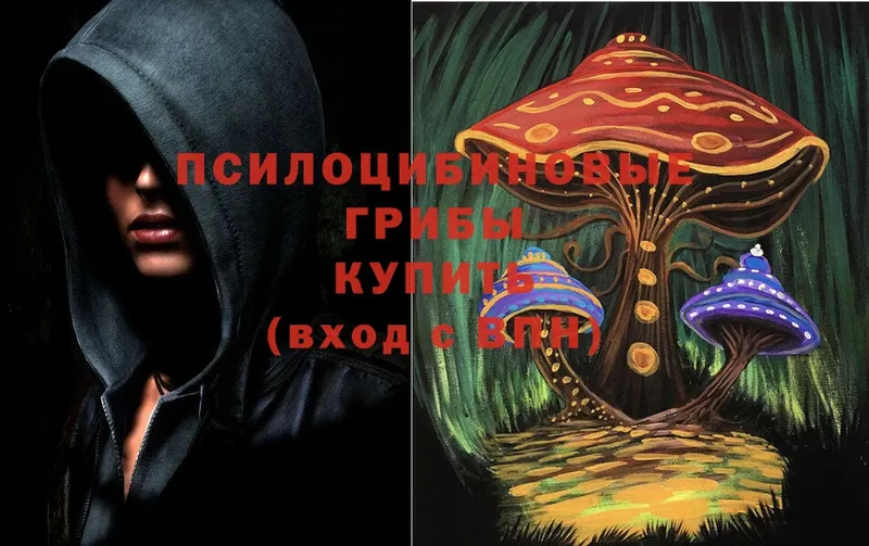 OMG вход  где продают   Казань  Галлюциногенные грибы Magic Shrooms 